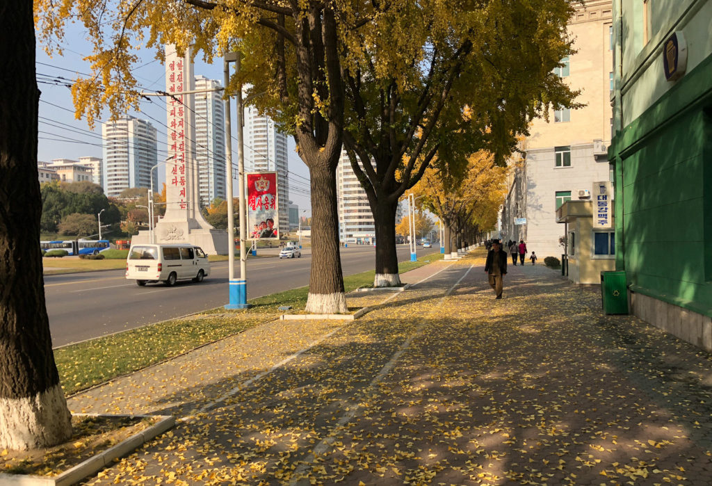 Streets of Pyongyang during autumn