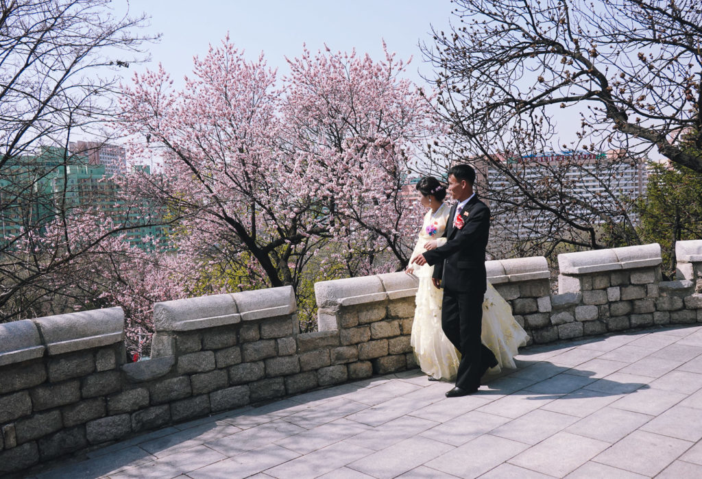 Wedding couple walking in Pyongyang during spring